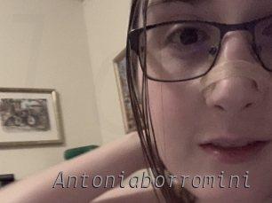 Antoniaborromini