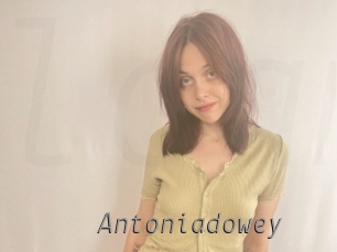 antoniadowey Livestrip Cams