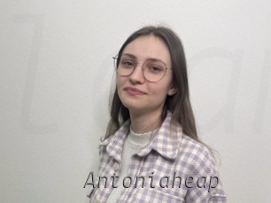 Antoniaheap