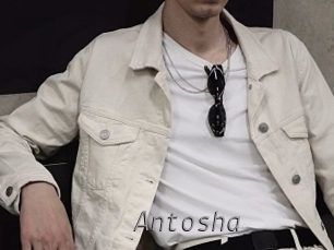 antosha Livestrip Cams