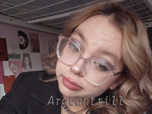 aracantrill Livestrip Cams