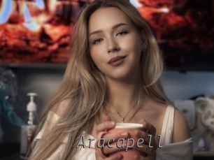 aracapell Livestrip Cams