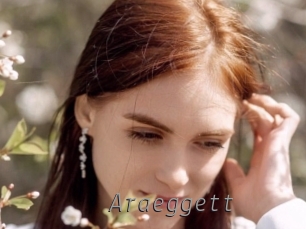 araeggett Livestrip Cams