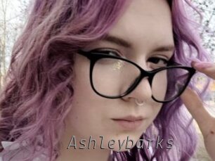 Ashleybarks