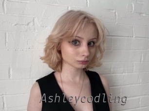 Ashleycodling