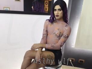 Aslhy_wlf