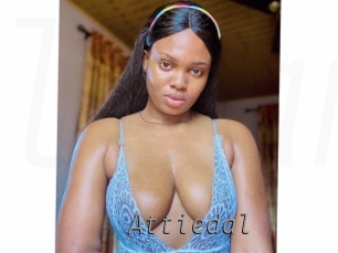 Attiedal