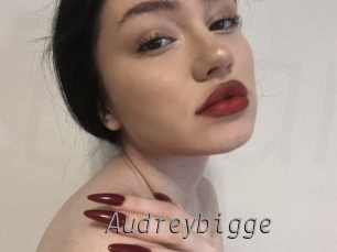 Audreybigge