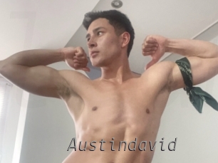 austindavid Livestrip Cams