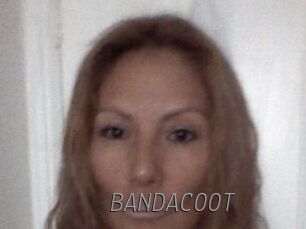 BANDACOOT