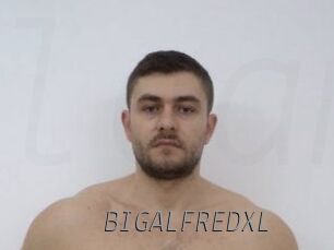 BIGALFREDXL Livestrip Cams