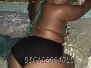 BIGASSSCARLET
