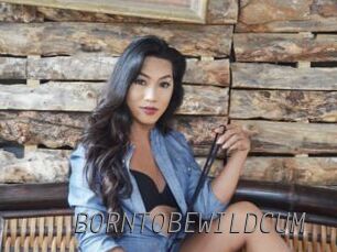 BORNTOBEWILDCUM Livestrip Cams