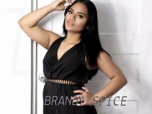 BRANDY_SPICE