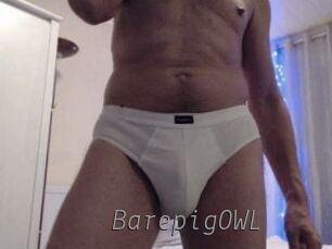 BarepigOWL Livestrip Cams