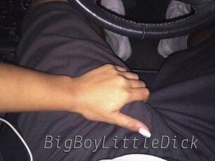 BigBoyLittleDick