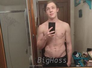 BigHoss Livestrip Cams