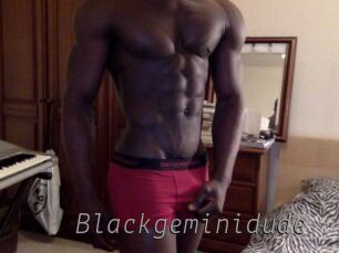 Blackgeminidude