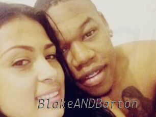 BlakeANDBarton Livestrip Cams