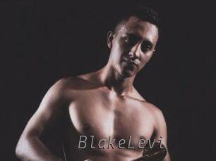 BlakeLevi Livestrip Cams