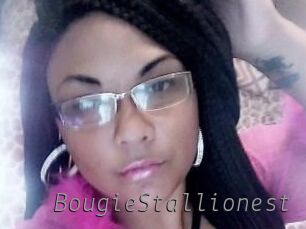 BougieStallionest Livestrip Cams