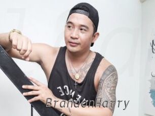 BrandonHarry Livestrip Cams