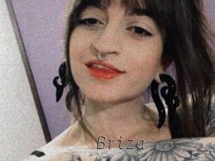 Briza Livestrip Cams