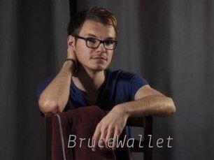 BruceWallet