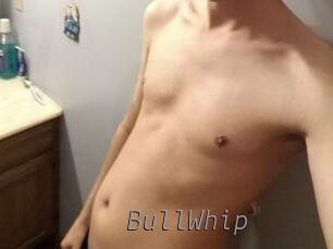 BullWhip