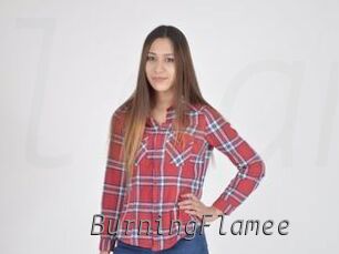 BurningFlamee