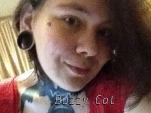 Buzzy_Cat Livestrip Cams