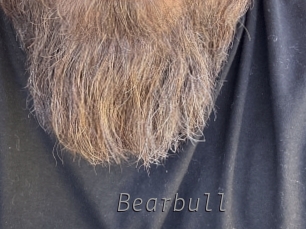 bearbull Livestrip Cams