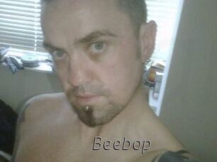 beebop Livestrip Cams