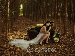 Bellaapor