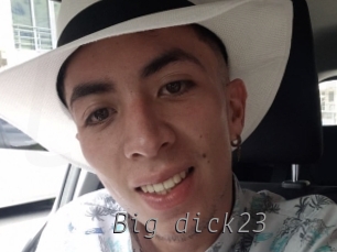 big_dick23 Livestrip Cams