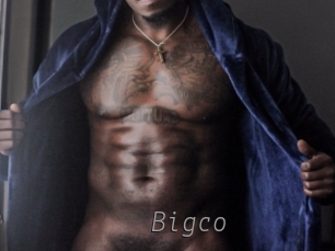 bigco Livestrip Cams