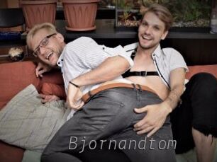 bjornandtom Livestrip Cams