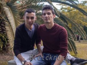 Bleicknort