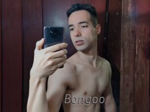 bongoo Livestrip Cams