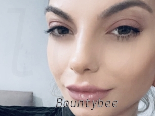 bountybee Livestrip Cams