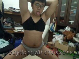 BoyHornyAFcrossdress
