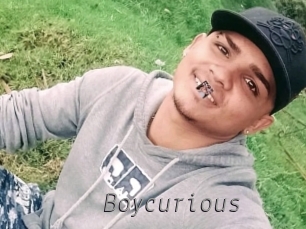 boycurious Livestrip Cams
