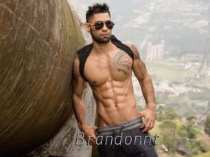 brandonnt Livestrip Cams