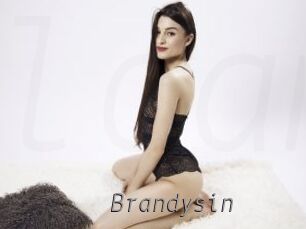 brandysin Livestrip Cams
