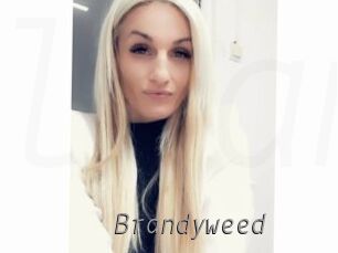 Brandyweed
