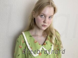 breebrainard Livestrip Cams