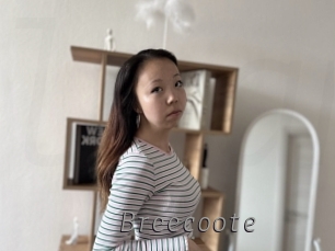 Breecoote