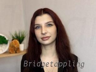 Bridgetappling
