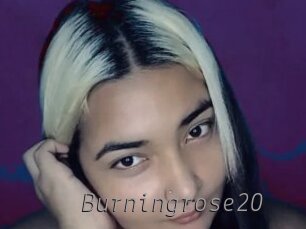 burningrose20 Livestrip Cams