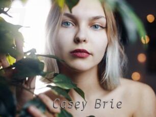 Casey_Brie Livestrip Cams